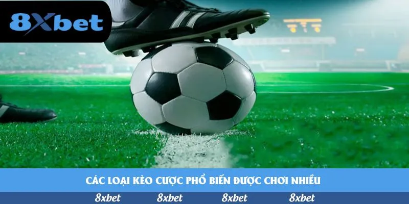Các loại kèo cược phổ biến được chơi nhiều 